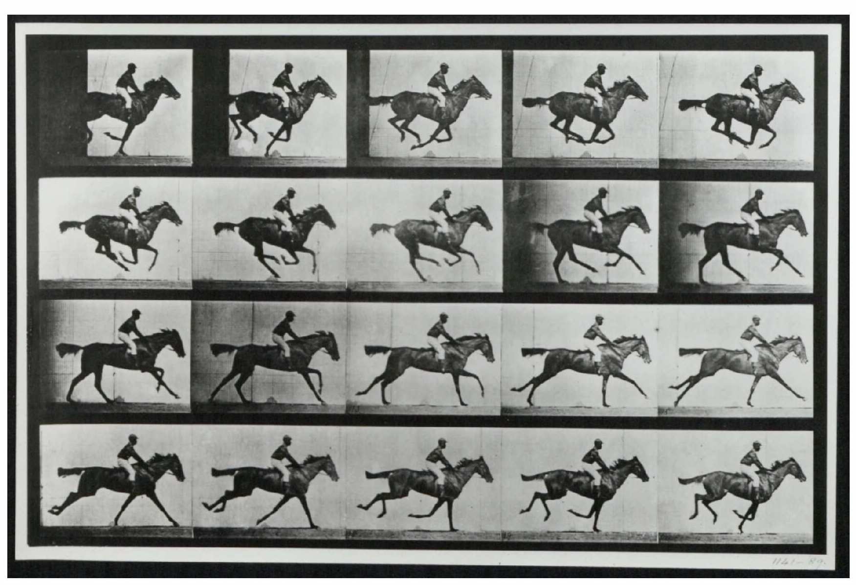 Figure 1: The Horse in Motion, Muybridge. The Bill Douglas Cinema Museum. EXEBD 61975. Available through: Adam Matthew, Marlborough, Victorian Popular Culture.