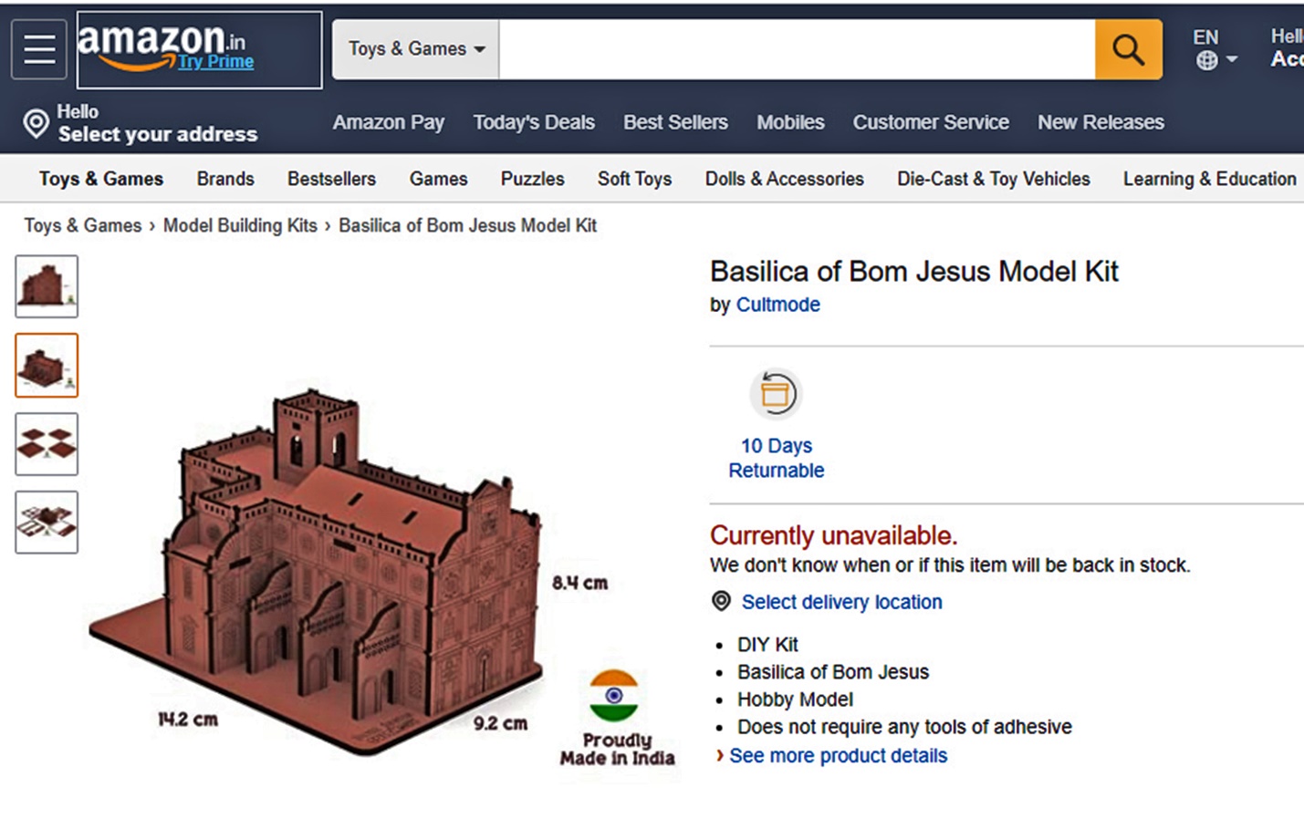 Figure 5: Detail from (T)here is the Basilica (2021). Photo courtesy of Vishvesh Prabhakar Kandolkar.